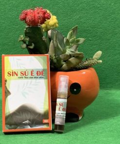 Sìn Sú Dạng Xịt
