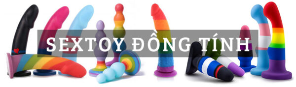 đồ chơi tình dục cho gay